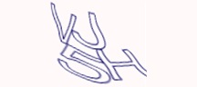 Visual Challenge