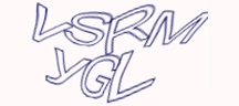 Visual Challenge