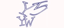Visual Challenge