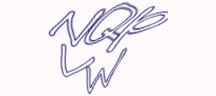 Visual Challenge