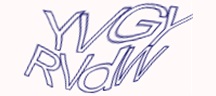 Visual Challenge