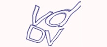 Visual Challenge