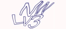 Visual Challenge