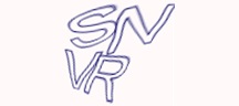 Visual Challenge