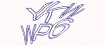Visual Challenge